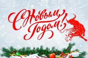 С наступившим Новым 2021 годом!